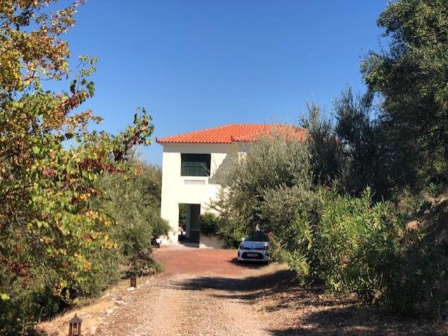 הוילה Vrises  Kyparissia De Wandelboom מראה חיצוני תמונה