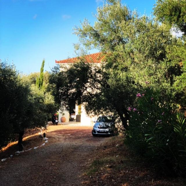 הוילה Vrises  Kyparissia De Wandelboom מראה חיצוני תמונה