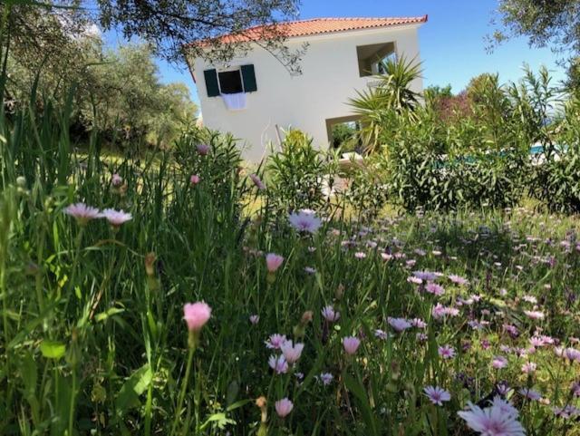 הוילה Vrises  Kyparissia De Wandelboom מראה חיצוני תמונה