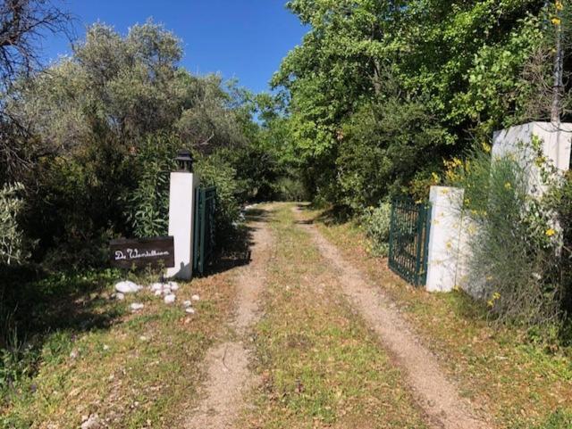 הוילה Vrises  Kyparissia De Wandelboom מראה חיצוני תמונה