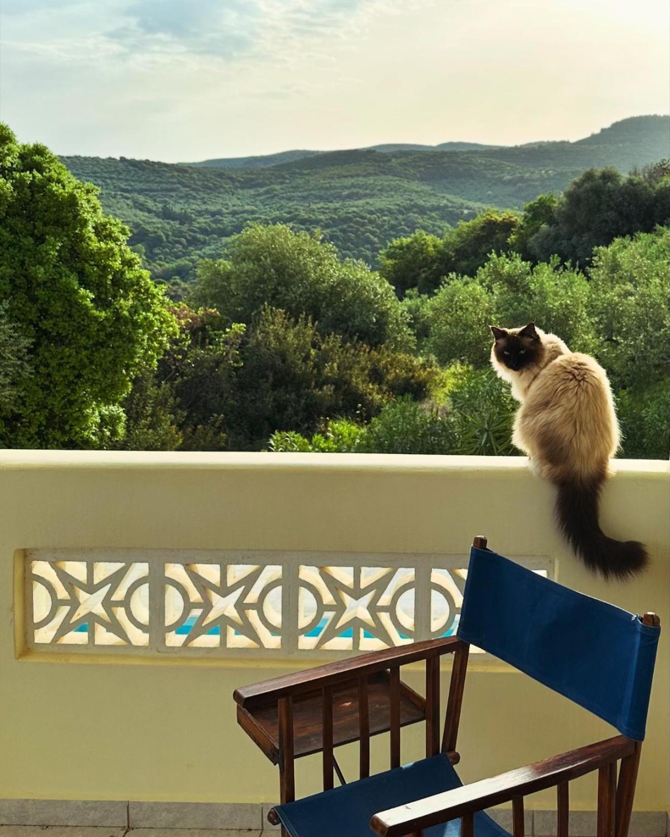 הוילה Vrises  Kyparissia De Wandelboom מראה חיצוני תמונה